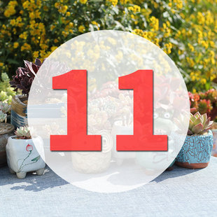 直播专用链接11号