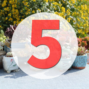 直播专用链接5号