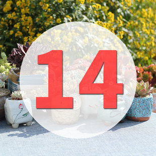 直播专用链接14号