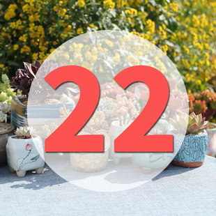 直播专用链接22号