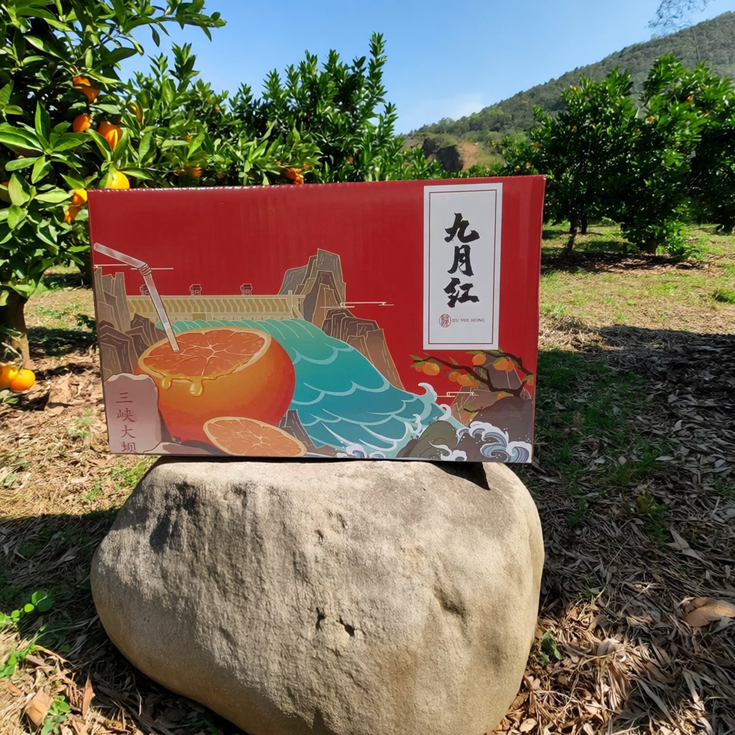 秭归九月红果冻橙饱满汁多现摘新鲜产地直发榨汁水果,水产肉类/新鲜蔬果/熟食,橙,淘宝优惠券,粉丝福利购,淘宝优惠卷