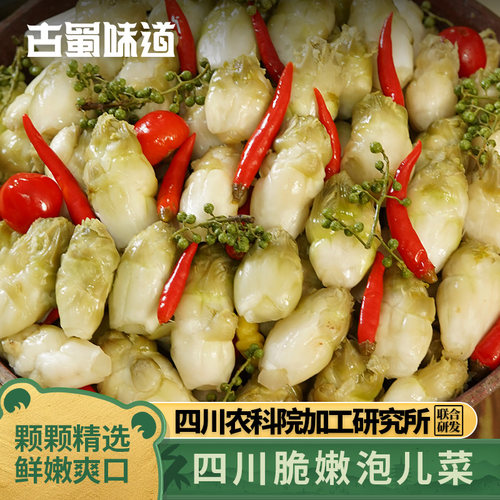 四川泡菜泡儿菜嫩姜即食下饭菜