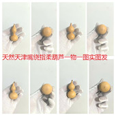 天然葫芦天津嘴绕指柔手捻盘玩文玩特小手把件解压随身件挂件 包邮