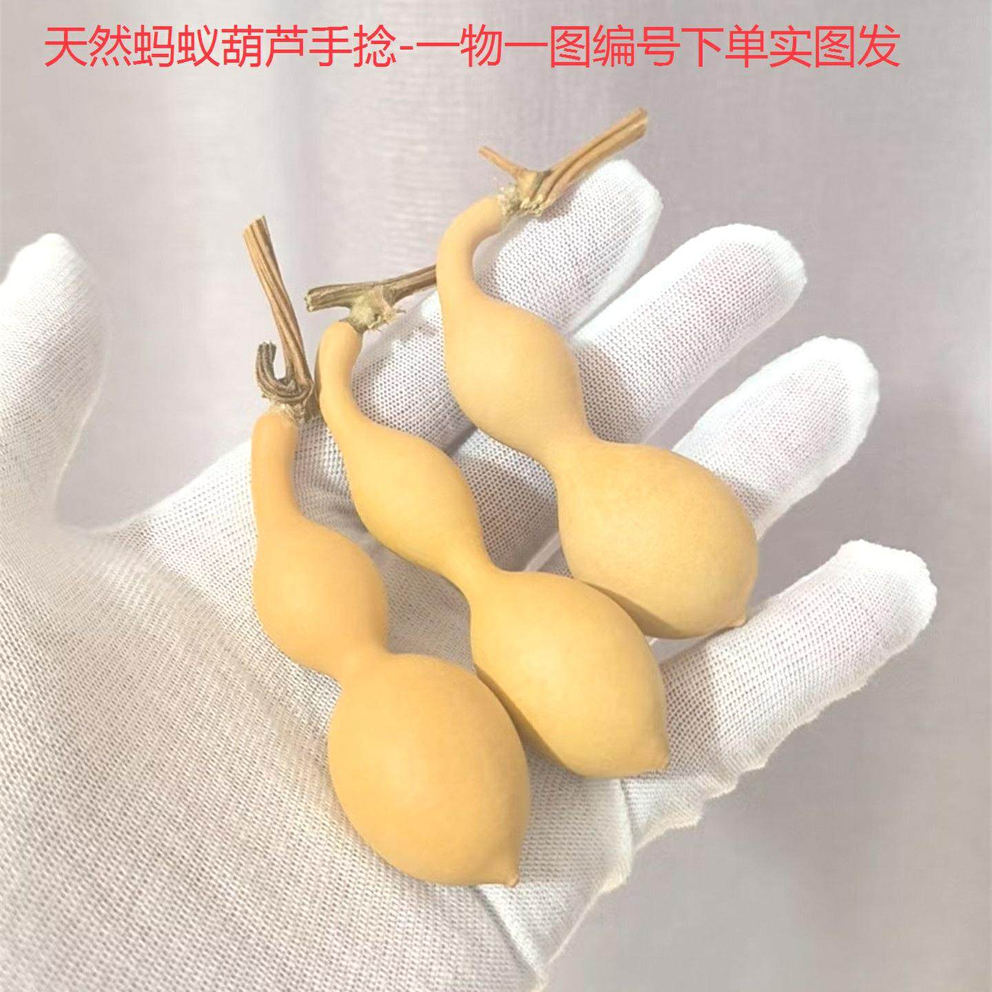 精选天然葫芦蚂蚁肚随身文玩小手把手捻异形解压挂件盘玩籽种包邮