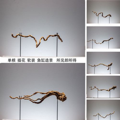 一物一拍按图发天然树根