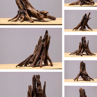 源也沉木树桩一物一拍真木组合