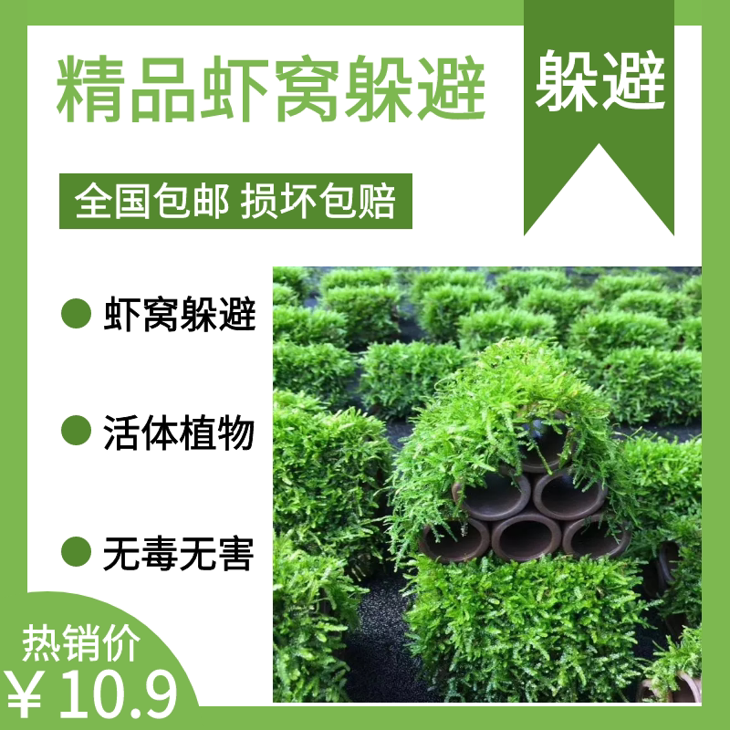 虾窝躲避窝莫斯躲避屋繁殖屋产卵洞装饰造景小鱼陶瓷罐房子摆件