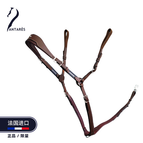 antares马匹低头革前胸带进口