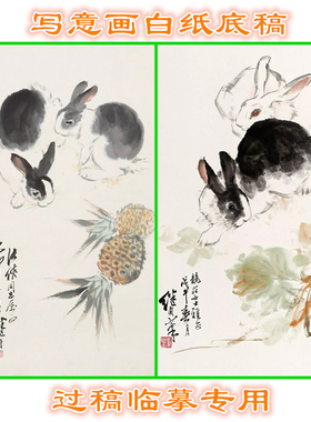 3LJL13兔子动物写意画白纸底稿实物国画稿临摹过稿条幅