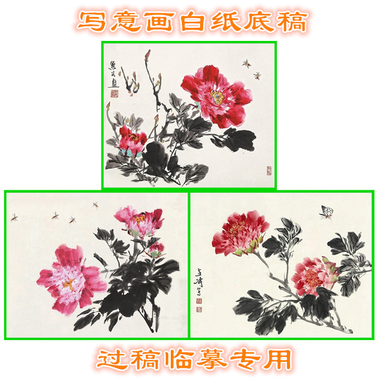 MD77花鸟国画牡丹写意画底稿画稿过稿临摹用条幅
