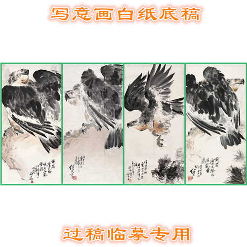 写意画底稿猛禽类老鹰过稿临摹用