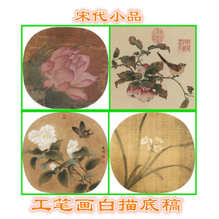 S1216荷花苹婆山鸟山茶蝴蝶图水仙宋人小品宋代工笔画白描底稿线