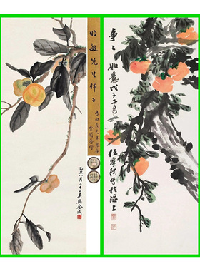 SZ56柿子瓜果写意画白描中国画花鸟底稿国画稿条幅事事如意