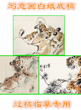 3LJL53老虎猛兽类国画写意画底稿白纸实物画稿临摹过稿横幅