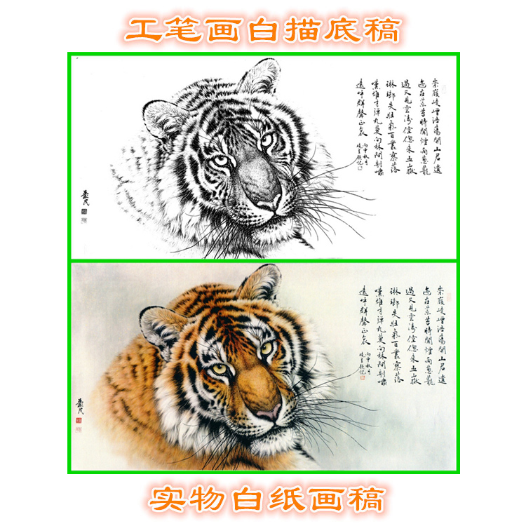 3G198老虎头动物猛兽类画稿工笔画白描底稿实物打印过稿临摹斗方