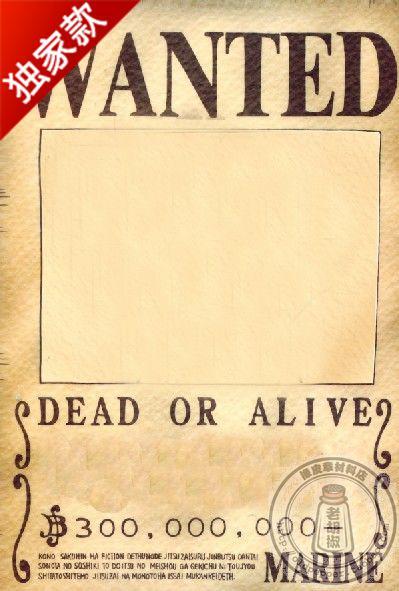 【通缉令】10张/包 海贼王空白通缉令 diy涂鸦 独家限量版