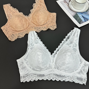 韩国单性感蕾丝柔软宽肩带美背无钢圈可取胸垫聚拢透气内衣 文胸