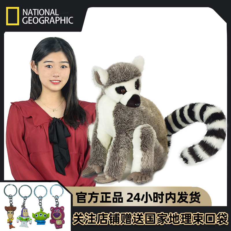正品！国家地理仿真环尾狐猴