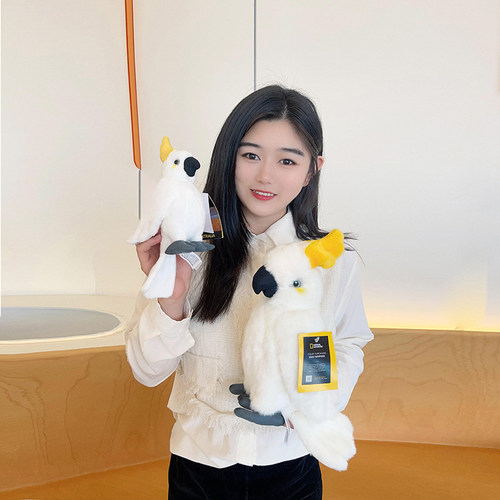 正品!国家地理毛绒玩具美冠鹦鹉