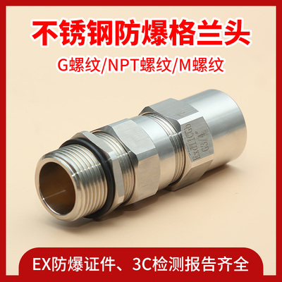 304不锈钢外螺纹嘉然防爆