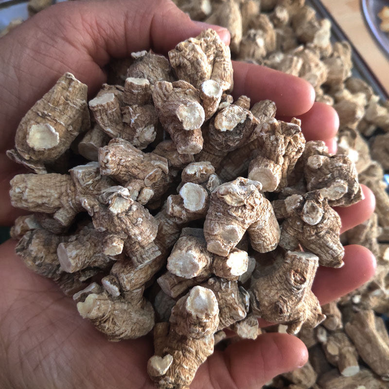 进品花旗参整枝味甘浓香西洋参段500克 六年生圆粒切片打粉