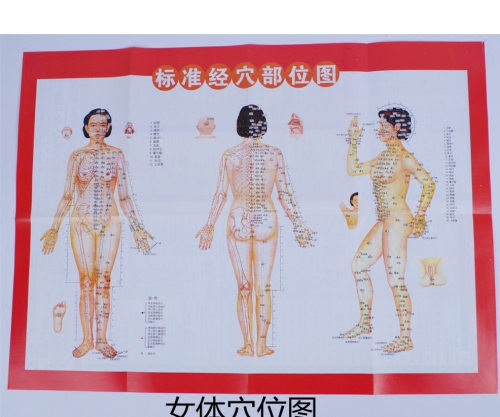 男体女体人体经络穴位挂图