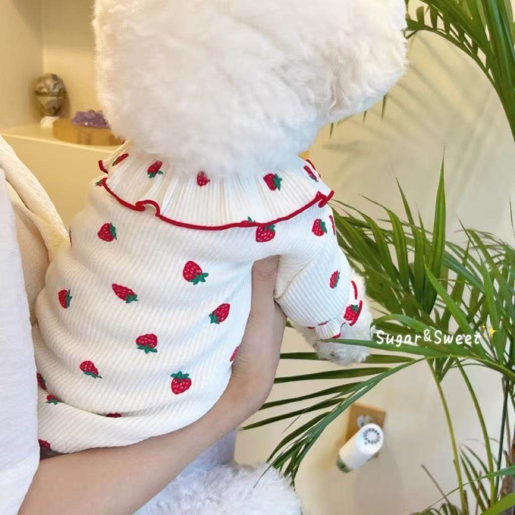 宠物狗狗猫咪草莓春秋新款打底衫