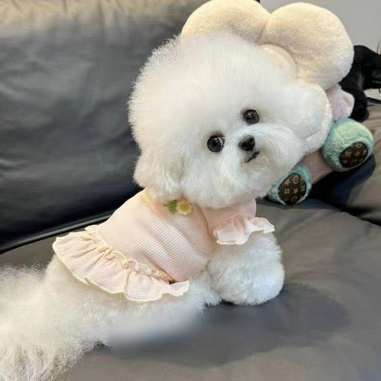 狗狗猫咪裙子春夏秋季新款华夫格