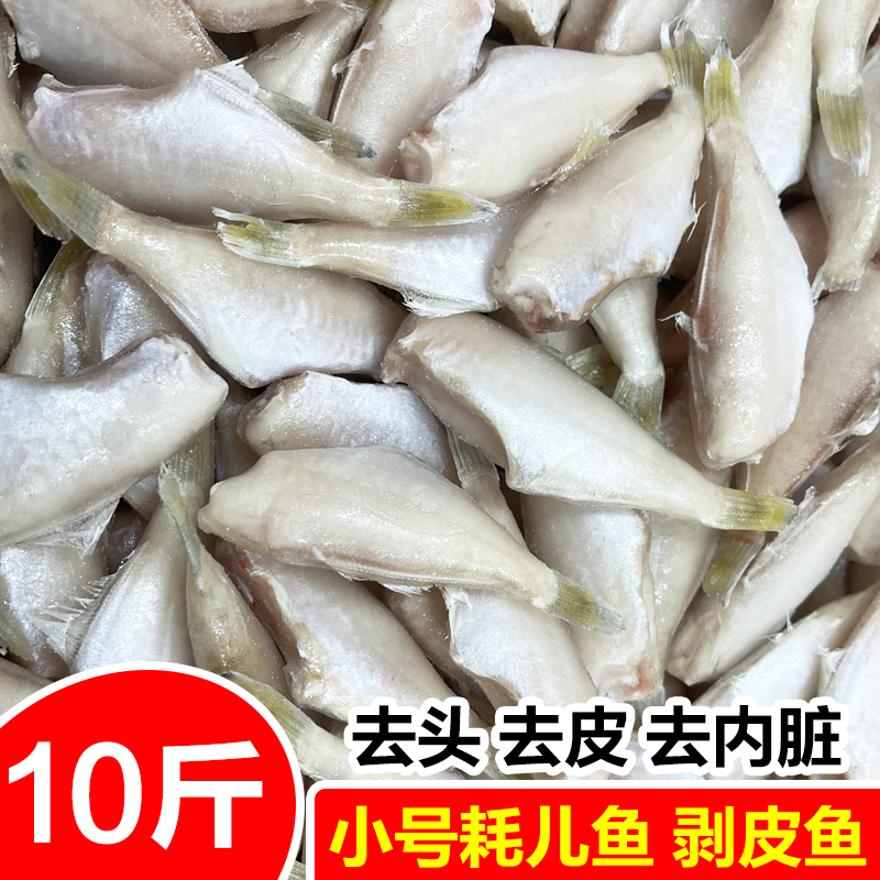 耗儿鱼新鲜冷冻剥皮马面鱼中号大号火锅食材老鼠鱼10斤商用批发