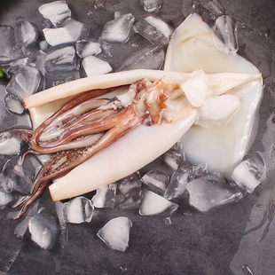 鲜冻鱿鱼免处理去皮去内脏原汁整只带头须烧烤火锅食材商用顺丰