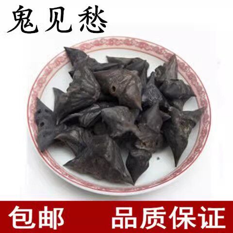 材 鬼见愁 菱角壳 菱角 干菱