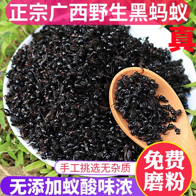 广西野生大黑蚂蚁干山蚁拟黑多刺蚁材养生泡酒食用另售蚂蚁粉