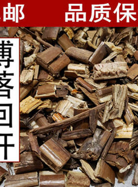 包邮博落回 博落回杆草 勃逻回勃勒回菠萝筒真货