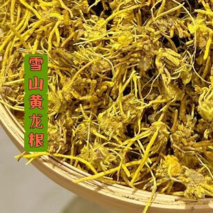 正品【黄龙根】正宗雪山黄龙根金龙根雪灵茶黄龙草金龙石斛参龙须
