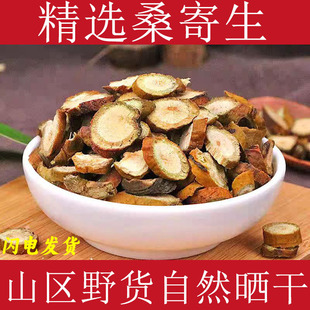 桑寄生材桑寄生茶桑寄生粉正宗桑寄生深山桑寄生干货泡水真货