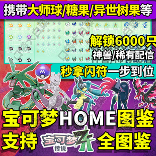 switch宝可梦ZA朱紫剑盾阿尔宙斯精灵全图鉴交换定制home闪光神兽