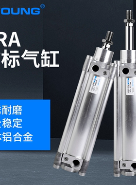 气动PRA50-100欧标标准气缸PRA50-75带磁标准气缸0822122004气缸