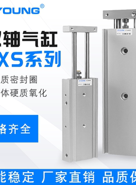 XYOUNG气动双轴气缸CXSM6-10双杆气缸CXSM6-20双联气缸CXSM6-15