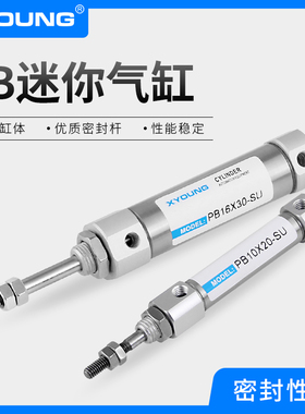 XYOUNG气动PB12X50-SU不锈钢迷你气缸PB12X25-SR带磁平尾迷你气缸