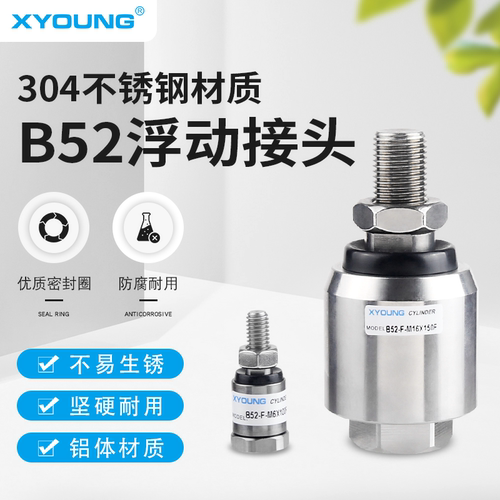 XYOUNG不锈钢浮动接头B52-F-M6X1