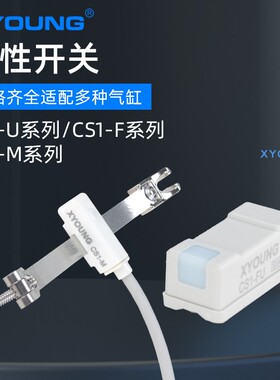 XYOUNG磁性开关感应器CS1-U气缸传感器CS1-F感应开关扎带CS1-M