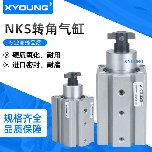XYOUNG恒定回转夹紧气缸DKS25