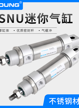 XYOUNG气动DSNU带磁迷你气缸DSNU20-50不锈钢迷你气缸DSNU20-75