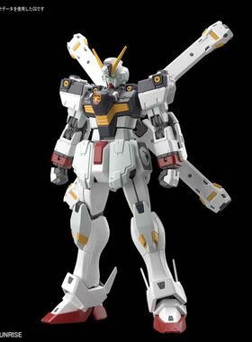 万代 RG-31 1/144 海盗高达 X1 骷髅高达 十字先锋 现货