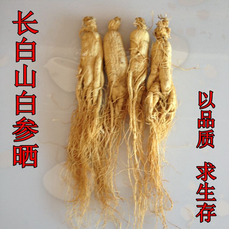 人参500克20支长白山野山参生晒参整支8年根新鲜泡酒白参包邮