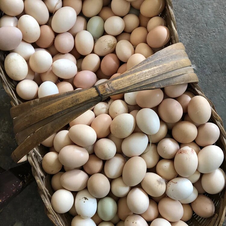 正宗农村土鸡蛋农家自养新鲜天然母鸡蛋本地农户散养孕妇月子儿童