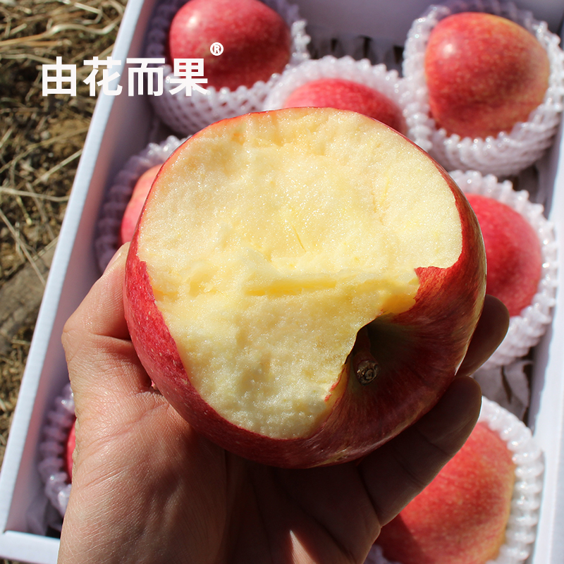 新西兰品种硬脆果肉精品礼盒