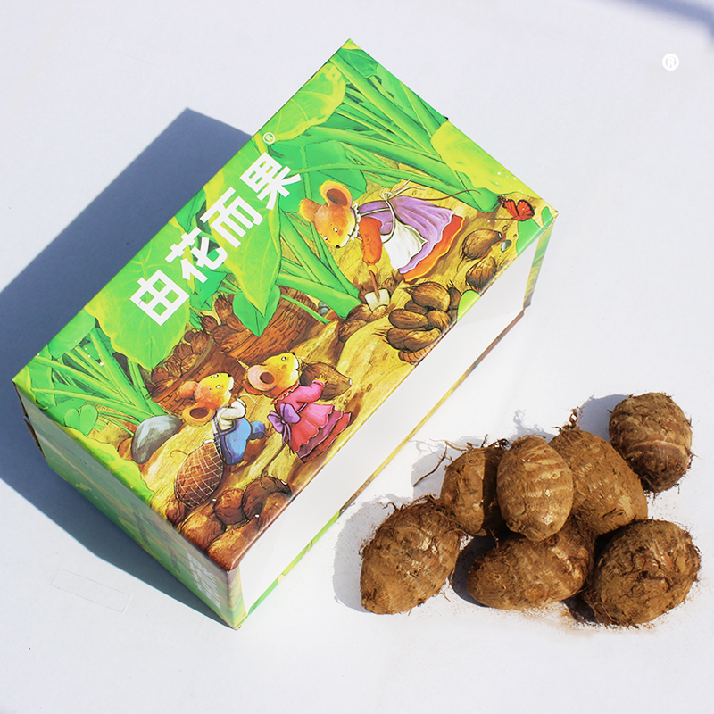 按出口日韩标准挑选 毛芋头@由花而果 高品质芋艿 小红婶推荐