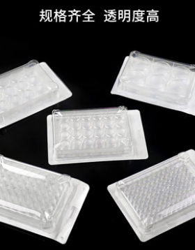 康宁 TC表面 细胞培养板 6孔 12孔 24孔 48孔 96孔平底 Corning-C