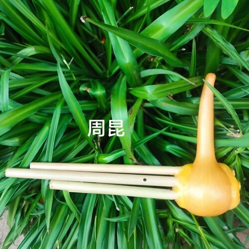 芦笙一尺永德五管云县镇康凤庆调 铜舌芦苏 厂家直销 - 封面